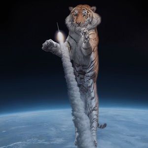 Meet your Posher, Jenny